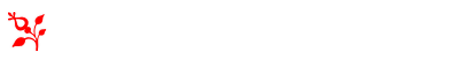 宇都宮美容整体 大通り院